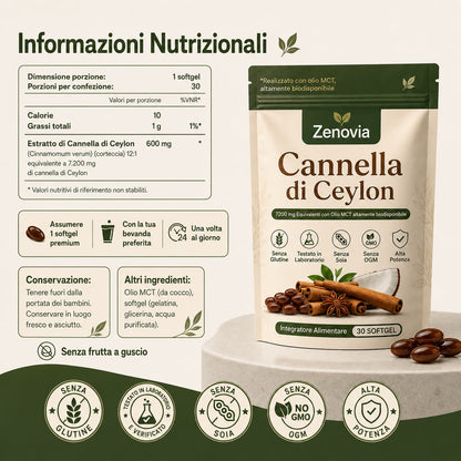 Zenovia - Energia più stabile. Benessere più naturale.