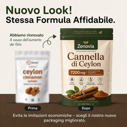 Zenovia - Energia più stabile. Benessere più naturale.